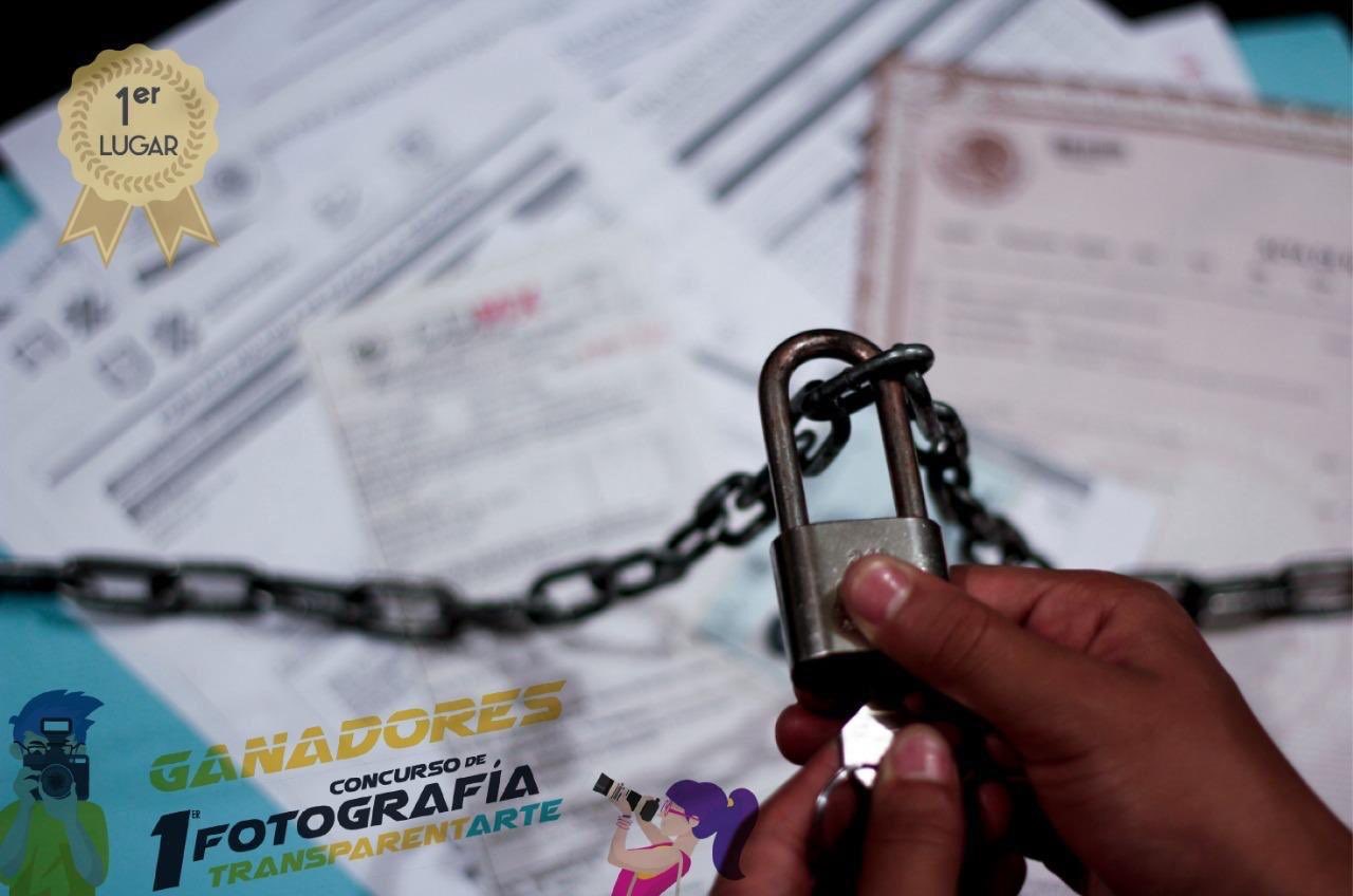 1er Concurso de Fotografía TransparentARTE