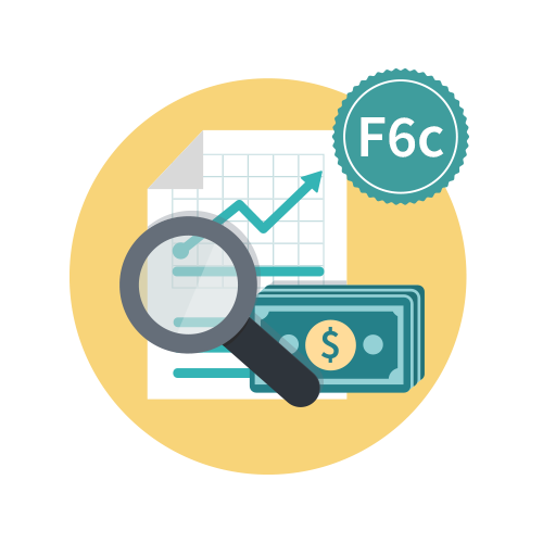 Imagen representativa del Formato 6c: Estado analítico del ejercicio del presupuesto de egresos detallado, clasificación funcional (Finalidad y Función) según la Ley de Disciplina Financiera