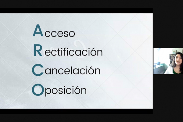Captura de pantalla de la sesión virtual
