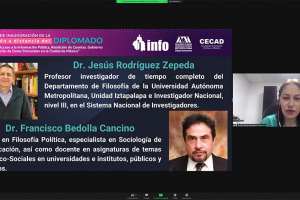Captura de pantalla de la sesión virtual