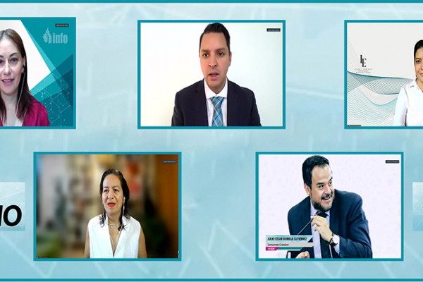 Captura de pantalla de la sesión virtual