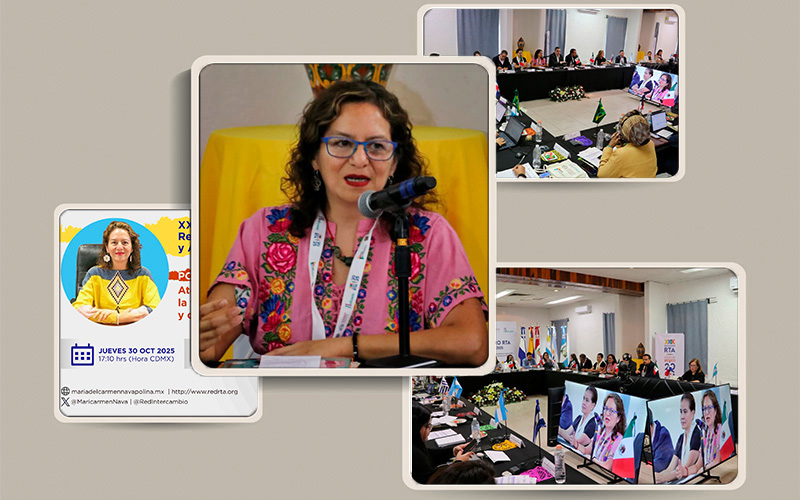 PARTICIPA LA COMISIONADA MARÍA DEL CARMEN NAVA POLINA EN EL XXIX ...