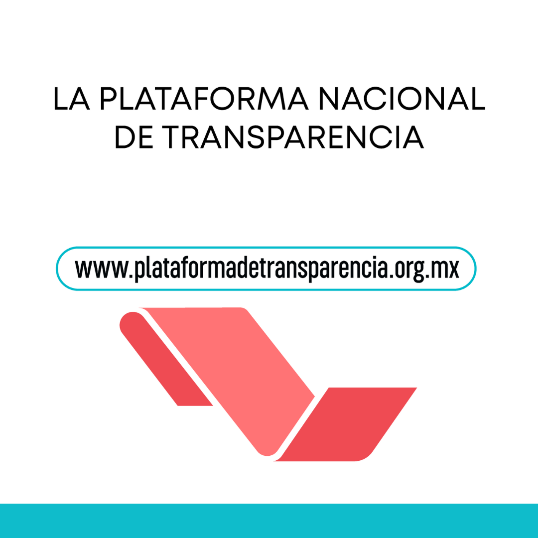 Logotipo de la PNT