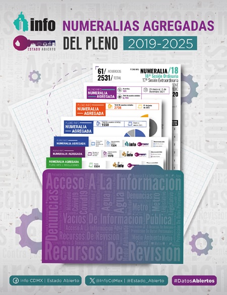 Carátula del libro Numeralias agregadas del Pleno 2019-2025
