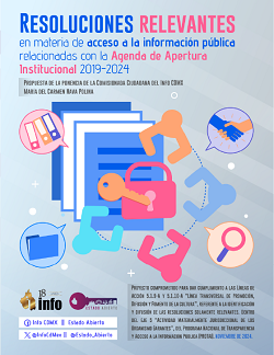 Carátula del libro RESOLUCIONES RELEVANTES EN MATERIA DE ACCESO A LA INFORMACIÓN PÚBLICA RELACIONADAS CON LA AGENDA DE APERTURA INSTITUCIONAL. 2019-2024.