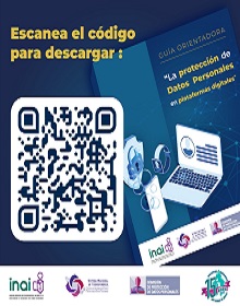 Carátula del libro La protección de Datos Personales en plataformas digitales.