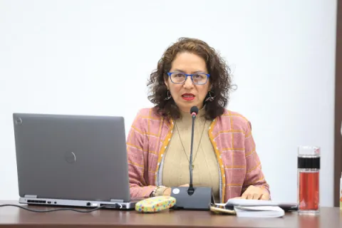 Fotografía de la comisionada durante sesión ordinaría del Pleno