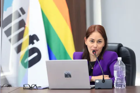 Fotografía de la sesión ordinaría del Pleno