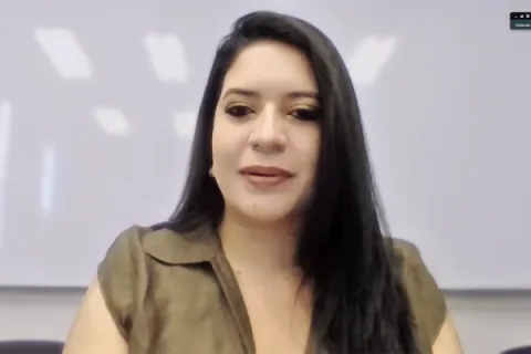 Captura de pantalla de la sesión virtua del Pleno CDMX