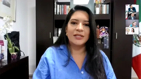 Captura de pantalla de la sesión virtual para aprobar el INFOVERSO