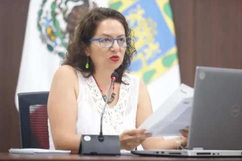 Sesión INFOCDMX 170724