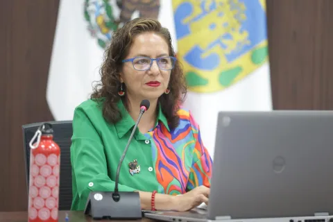 Sesión del Pleno del INFO CDMX en la que se actualiza el padrón de sujetos obligados en protección de datos personales.