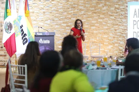 La comisionada María del Carmen Nava Polina participa en jornada de asesorías técnicas sobre transparencia y agenda de apertura