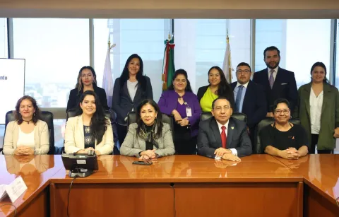 Propuesta de acciones para fortalecer la agenda de género presentada por comisionadas en la trigésima octava sesión CIIS