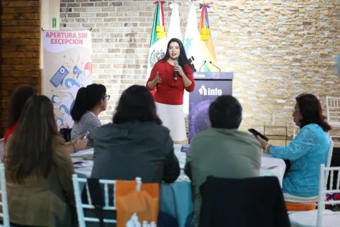 La comisionada María del Carmen Nava Polina participa en jornada de asesorías técnicas sobre transparencia y agenda de apertura