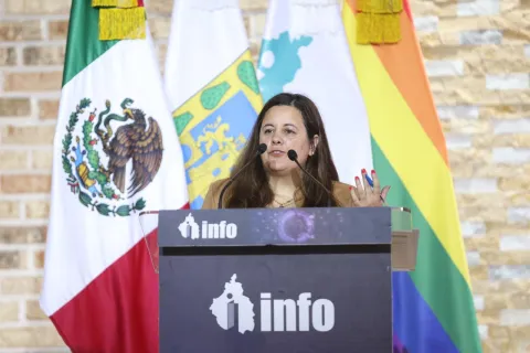 La comisionada María del Carmen Nava Polina participa en jornada de asesorías técnicas sobre transparencia y agenda de apertura