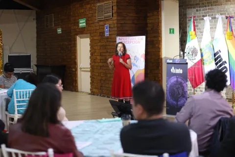 La comisionada María del Carmen Nava Polina participa en jornada de asesorías técnicas sobre transparencia y agenda de apertura