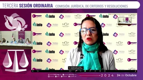 La comisionada María del Carmen Nava Polina participa en la tercera sesión ordinaria de la Comisión Jurídica del SNT, compartiendo diagnósticos de accesibilidad.