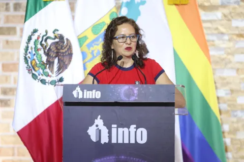 La comisionada María del Carmen Nava Polina participa en jornada de asesorías técnicas sobre transparencia y agenda de apertura