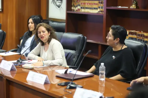 Propuesta de acciones para fortalecer la agenda de género presentada por comisionadas en la trigésima octava sesión CIIS
