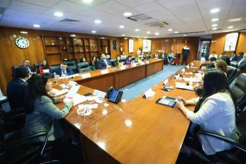 Propuesta de acciones para fortalecer la agenda de género presentada por comisionadas en la trigésima octava sesión CIIS