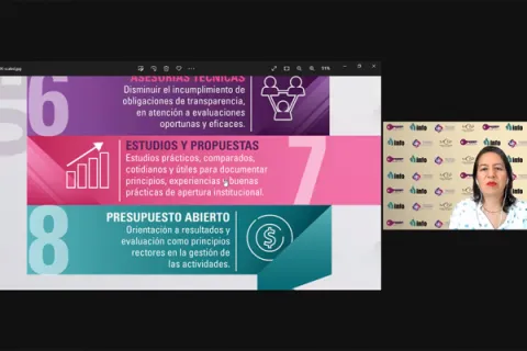 Captura de pantalla de la sesión virtual