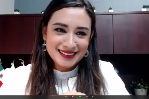 Captura de pantalla de la sesión virtual