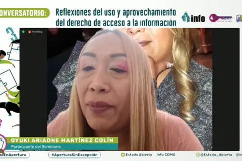Captura de pantalla de la sesión virtual