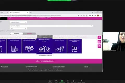 Captura de pantalla de la sesión virtual