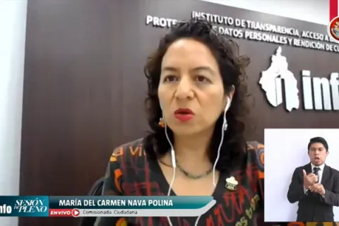 Captura de pantalla de la sesión virtual