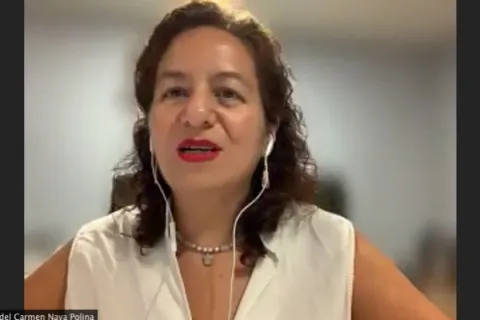 Captura de pantalla de la sesión virtual