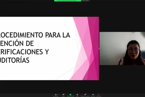 Captura de pantalla de la sesión virtual