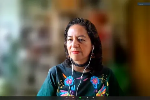 Captura de pantalla de la sesión virtual