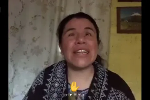 Captura de pantalla de la sesión virtual