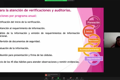 Captura de pantalla de la sesión virtual
