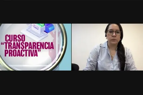 Captura de pantalla de la sesión virtual