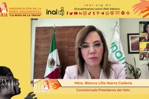 Captura de pantalla de la sesión virtual