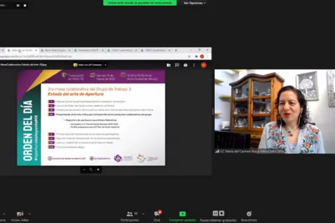 Captura de pantalla de la sesión virtual