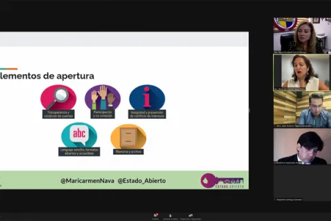 Captura de pantalla de la sesión virtual