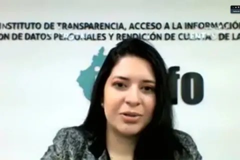 Captura de pantalla de la sesión virtual