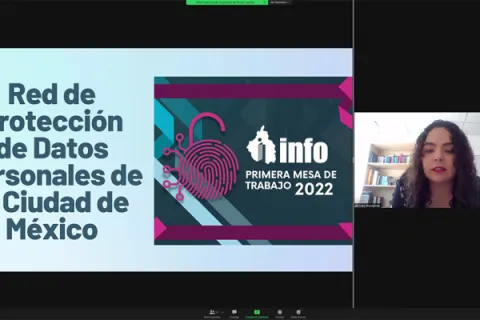 Captura de pantalla de la sesión virtual