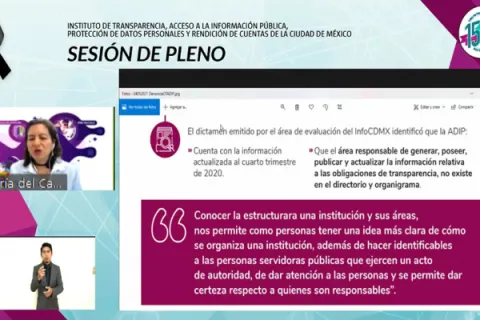 Captura de pantalla de la sesión virtual