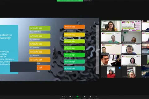 Captura de pantalla de la sesión virtual