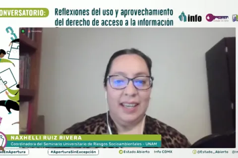 Captura de pantalla de la sesión virtual