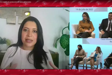 Captura de pantalla de la sesión virtual