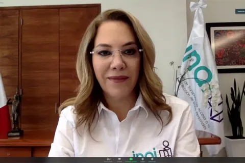 Captura de pantalla de la sesión virtual