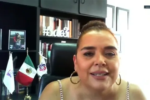 Captura de pantalla de la sesión virtual