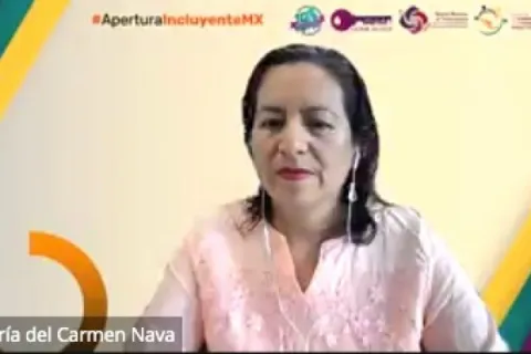 Captura de pantalla de la sesión virtual