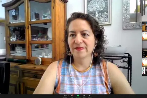 Captura de pantalla de la sesión virtual