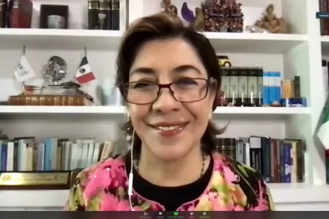 Captura de pantalla de la sesión virtual